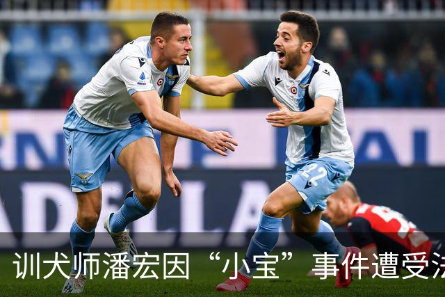 训犬师潘宏因“小宝”事件遭受法律判决，公开道歉并求得谅解